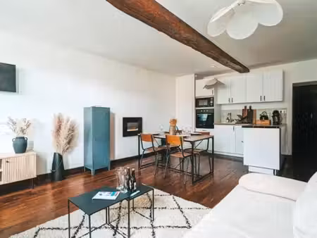 appartement meublé  46m2  1 chambre