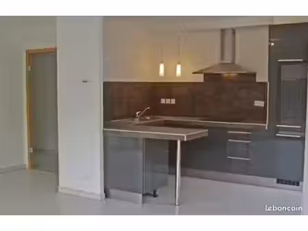 appartement 4 pièces très lumineux avec jardin