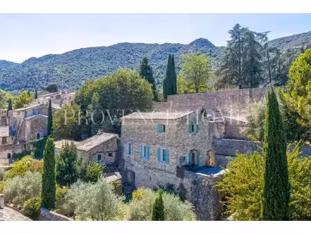 a vendre batisse en pierre avec maison d'amis coeur de village avec vue panoramique a...