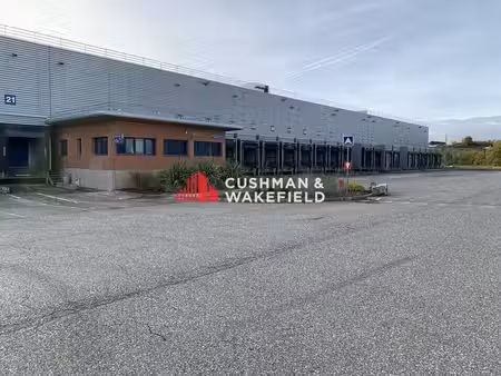 location entrepôt baziege 31450 7238m²