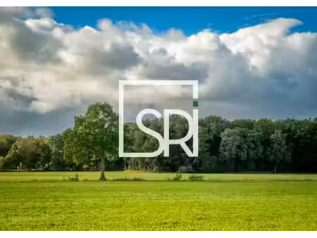 vente terrain cusset 03300 1237m²