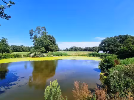 maison à vendre à nieul-le-dolent (85430) - vendée