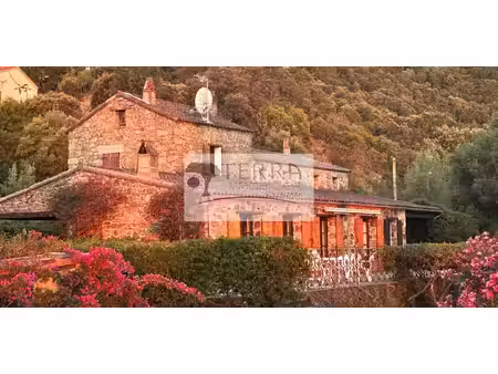 maison avec terrasse sari-solenzara (2a)