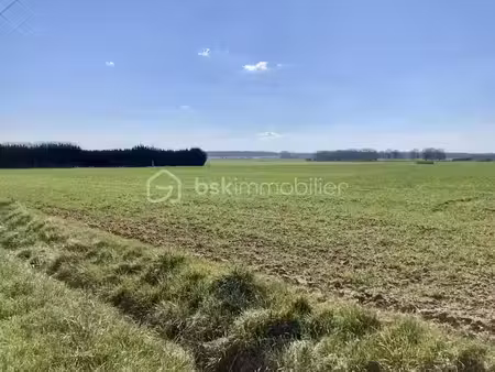 vente terrain 600 m² à giffaumont-champaubert (51290)  31 000 €