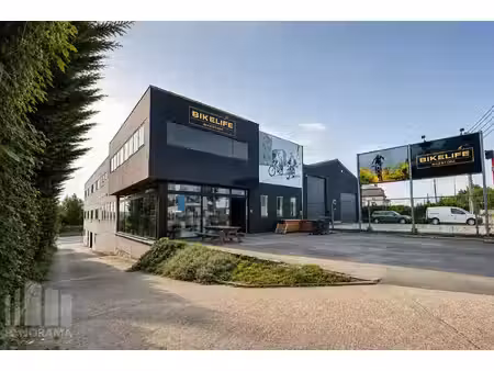 commercieel te koop in lot
