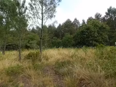 vente terrain 1800 m² à estigarde (40240)  28 000 €