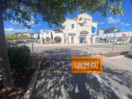 location commerce cabries 13480 254m²