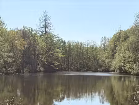 étang privé de loisirs et de pêche avec bois proche de montrollet