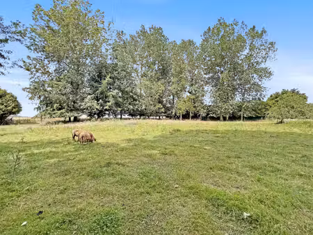 terrain à vendre de 2667 m² à chaumont-gistoux (vbe58974)