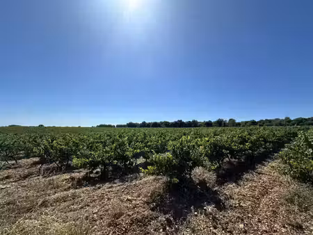 vente terrain 60520 m² fontanès (30250)