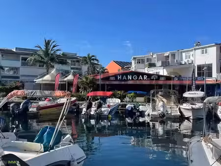 vente locaux professionnels 178 m² à les trois ilets (97229)  600 000 €