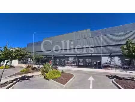location commerce cabries 13480 1100m²