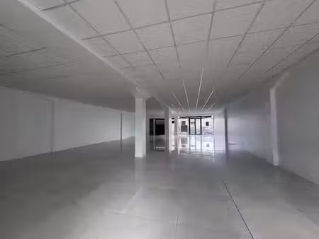 location locaux professionnels 1 pièce 200 m² à baie mahault (97122)  4 070 €