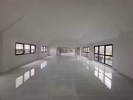 location locaux professionnels 1 pièce 286 m² à baie mahault (97122)  6 864 €