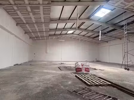 location locaux professionnels 1 pièce 756 m² à baie mahault (97122)  11 466 €