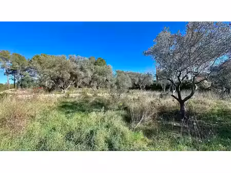 terrain à bâtir de 1767 m² à bagnols-en-foret (83)