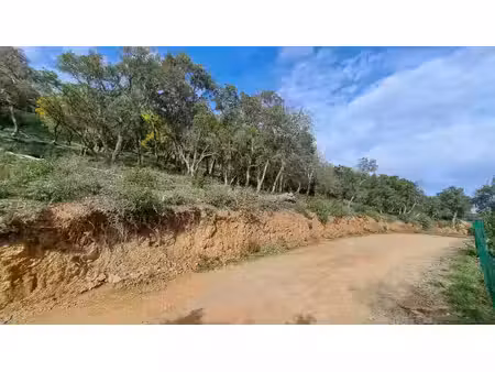 terrain à bâtir de 2150 m² à la mole (83)