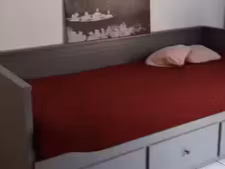 location appartement 1 pièce 22 m² à laxou (54520)