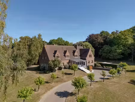 brabant flamand i lennik
