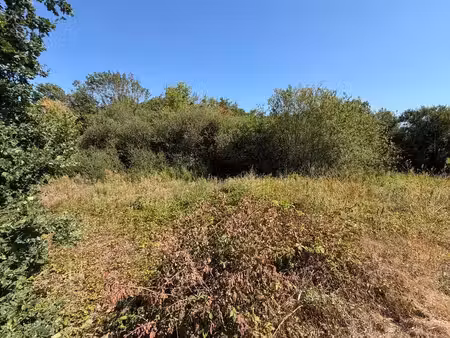 terrain à vendre à rillaar € 179.000 (lr85p) - c21 sophimo | zimmo