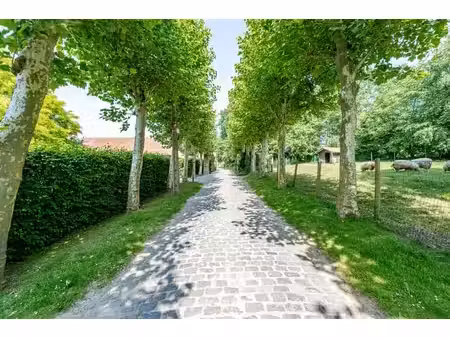 zonnebeke