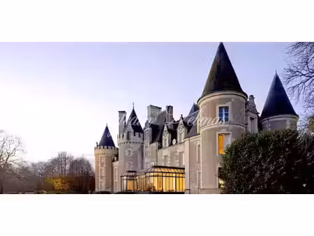 château tours (37)