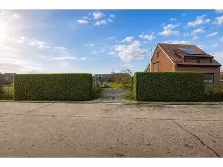 terrain