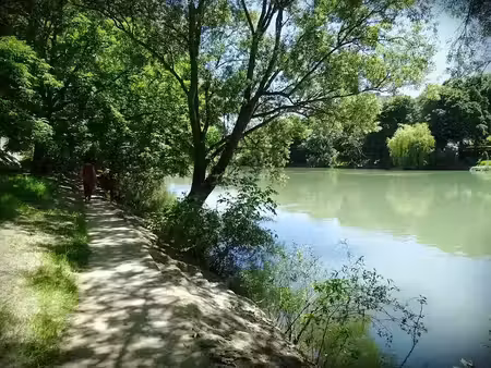 vente appartement 4 pièces 85 m² à plombières-lès-dijon (21370)  259 000 €
