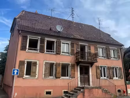 dannemarie maison individuelle avec 2 appartements + dépen