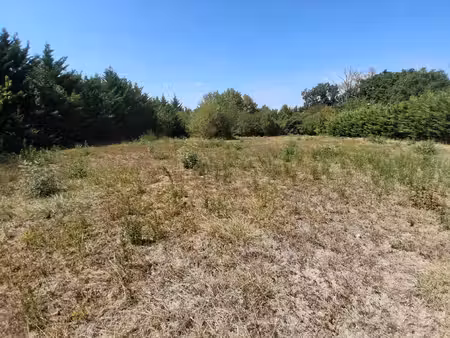 superbe terrain constructible de 2445m2