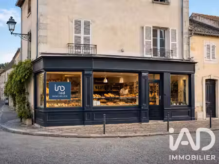 vente commerce 263 m² palluau (85670)