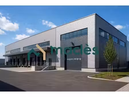 vente entrepôt sainte-pazanne 44680 1369m²
