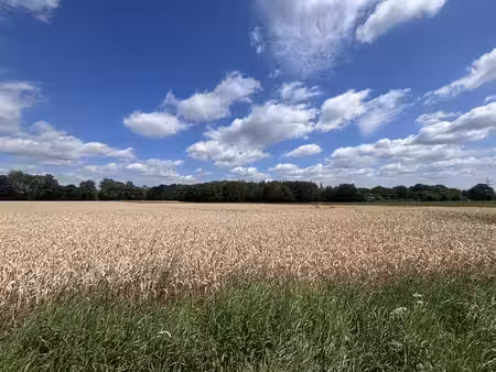 terrain à batir de 7000m² à lambusart  fleurus  17 maisons