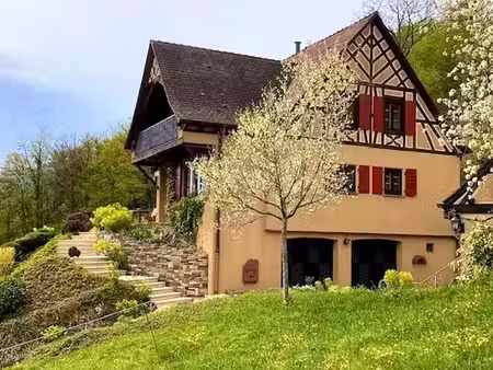vente maison 6 pièces 175 m² à osenbach (68570)  795 000 €