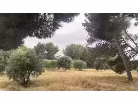 vente terrain 651 m² à saint-chamas (13250)  220 000 €