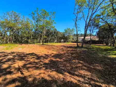 vente terrain 1055 m² à saint-siffret (30700)  202 000 €