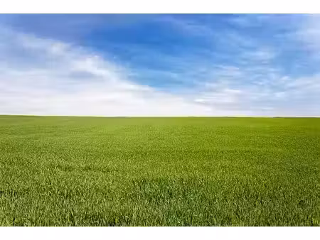 vente terrain 711 m² à plomeur (29120)  87 750 €