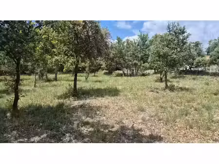 vente terrain 2250 m² à baudinard-sur-verdon (83630)  120 000 €