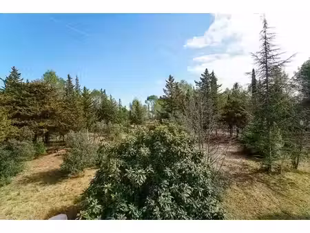vente terrain 500 m² à le triadou (34270)  215 000 €