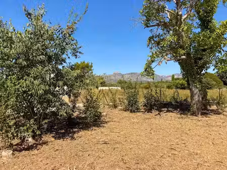 vente terrain 860 m² à gemenos (13420)  399 000 €