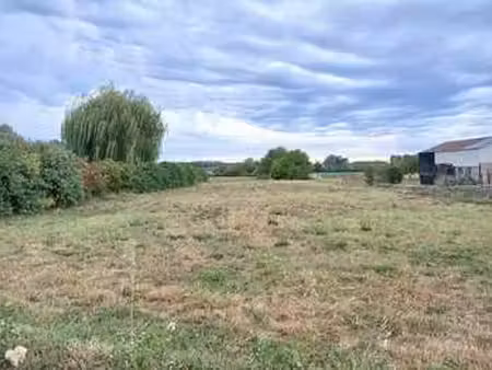 vente terrain à maze (49630) : à vendre / 11464m² maze