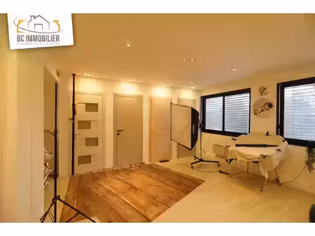 immobilier professionnel à louer ferney voltaire