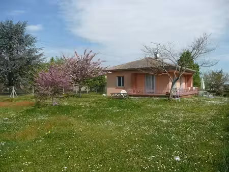 maison à louer