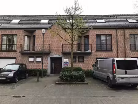 rez-de-chaussée à louer à hertoginstraat 3 turnhout (rbw75355)