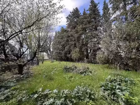 vente terrain à batir 893 m² à connaux (30330)  95 000 €