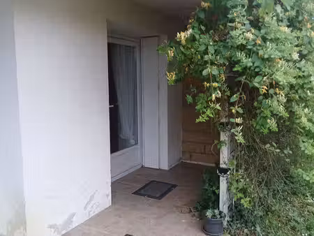 colocation à louer