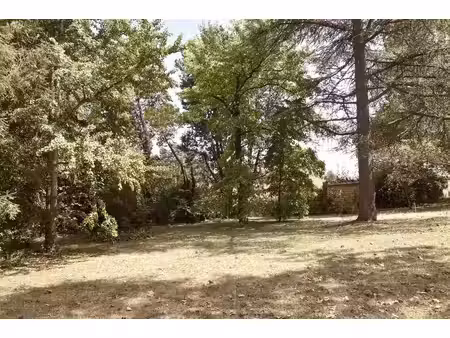 terrain