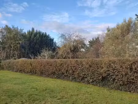 vente terrain à carquefou (44470) : à vendre / carquefou
