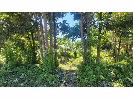 terrain de 778 m² à saint-philippe