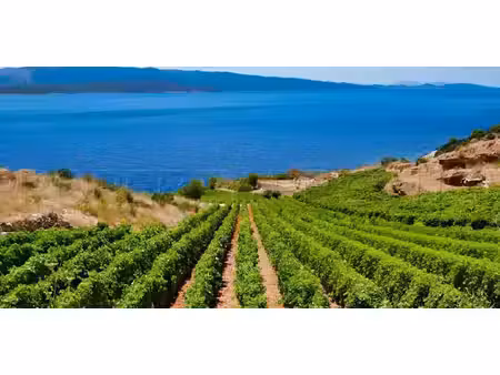 propriété ramatuelle (83)